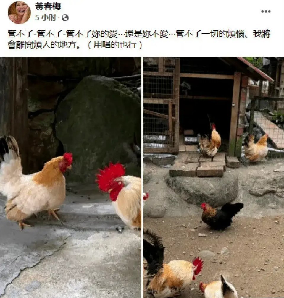 大S|迎来大结局！大S具俊晔已正式完成结婚登记，现在是真正的夫妻了