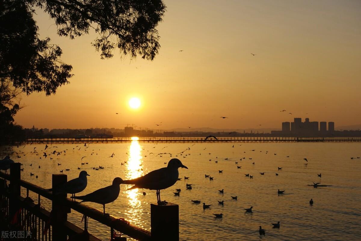 滕州|郭进拴|雨中游滇池