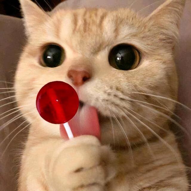 张艺兴|张艺兴录《向往6》睡完整期? 连谷爱凌尬宣新歌, 卖傻瓜人设好奇葩