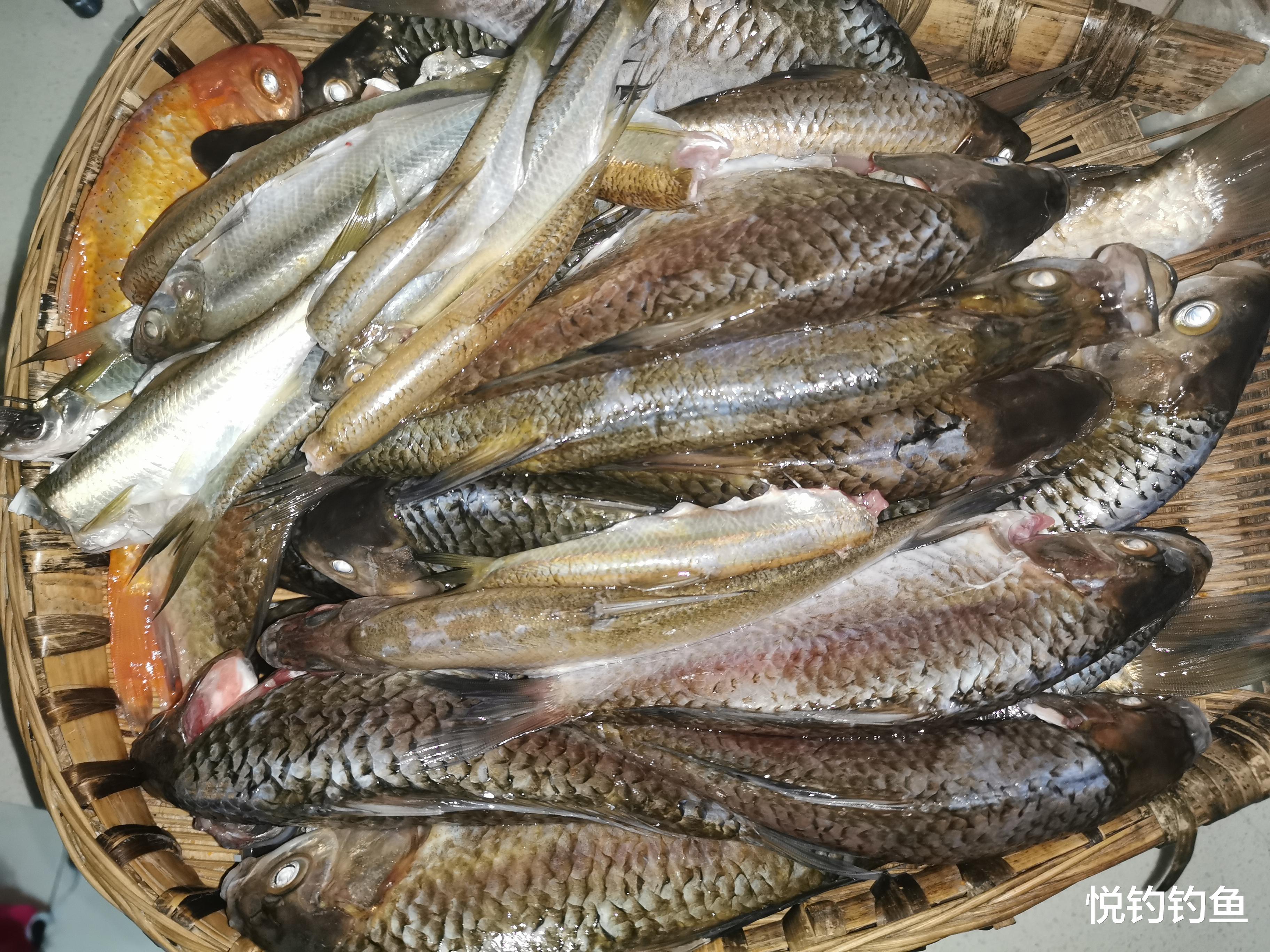 |无论行得再远，水脉滋润处，即是吾乡