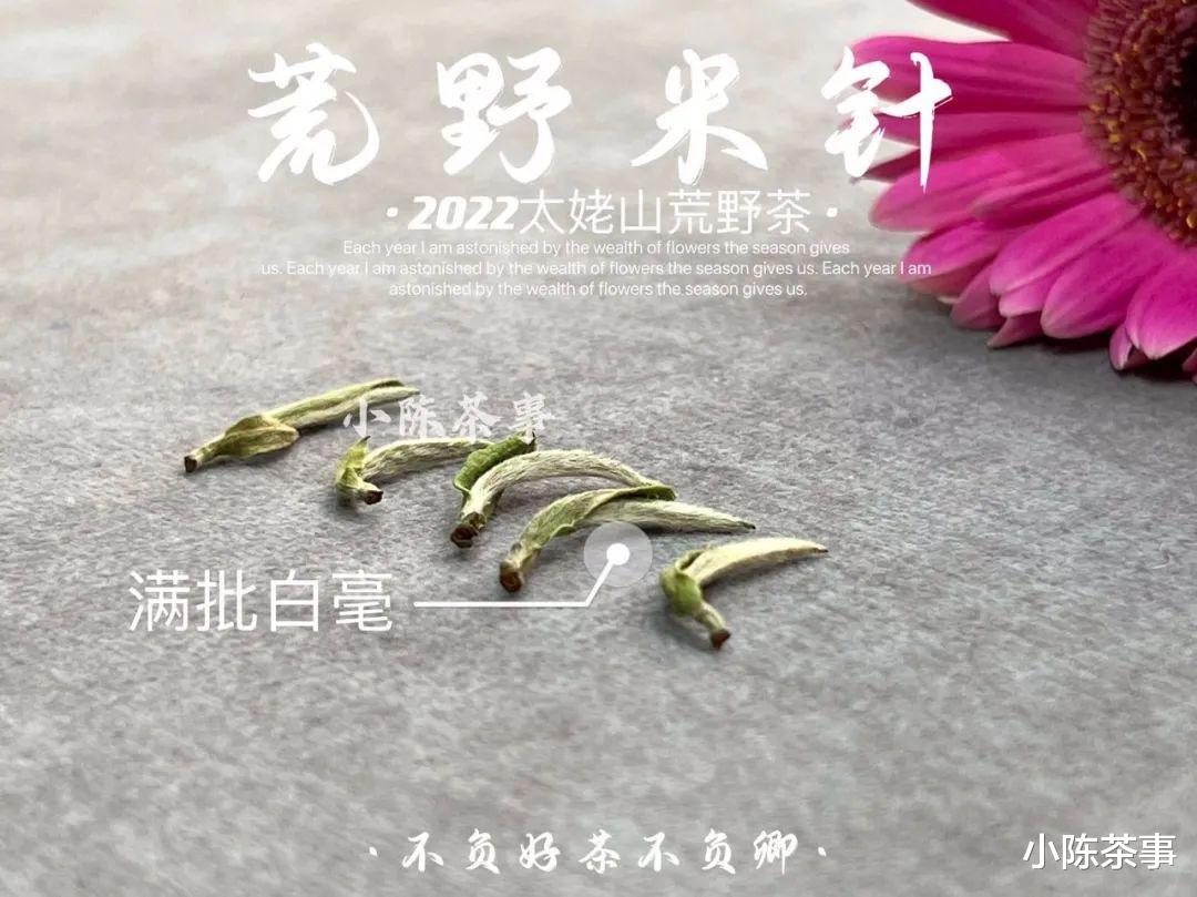 人参|水臭就水臭，扯什么人参香？为什么总有人往白毫银针身上泼脏水？