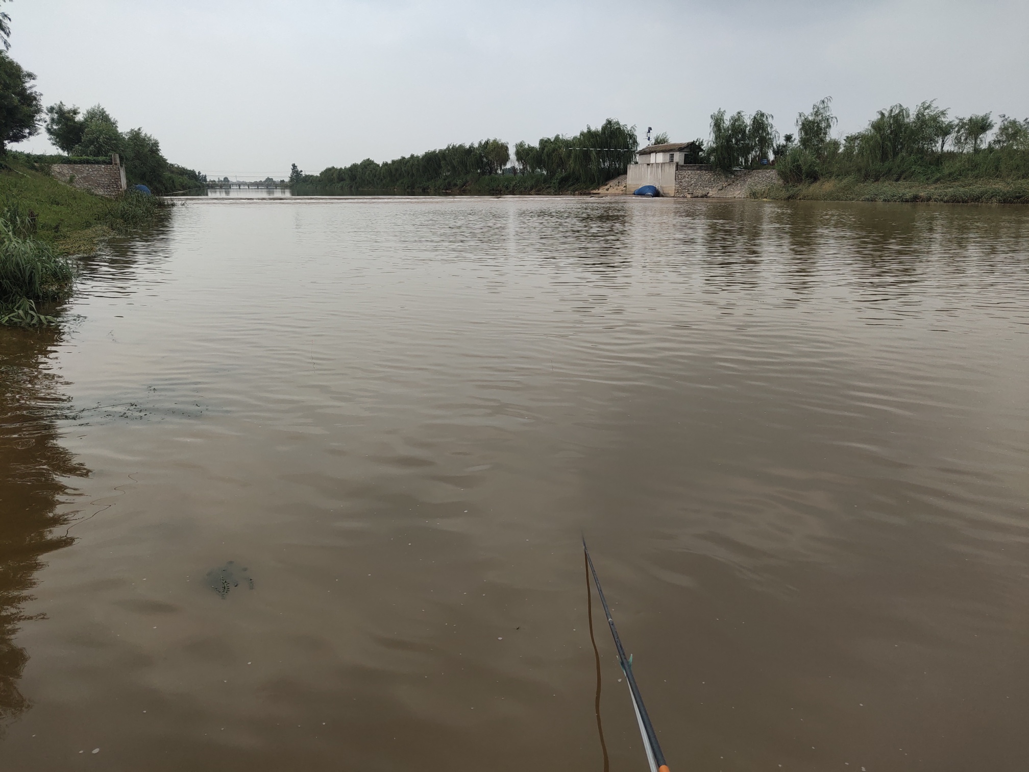 |难得给自己放个假,碰上了小雨连绵,这个假期注定特别好钓鱼