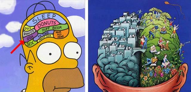 黄芪|7大提高智商的营养食物,除了多吃鱼,还有多吃这些食物