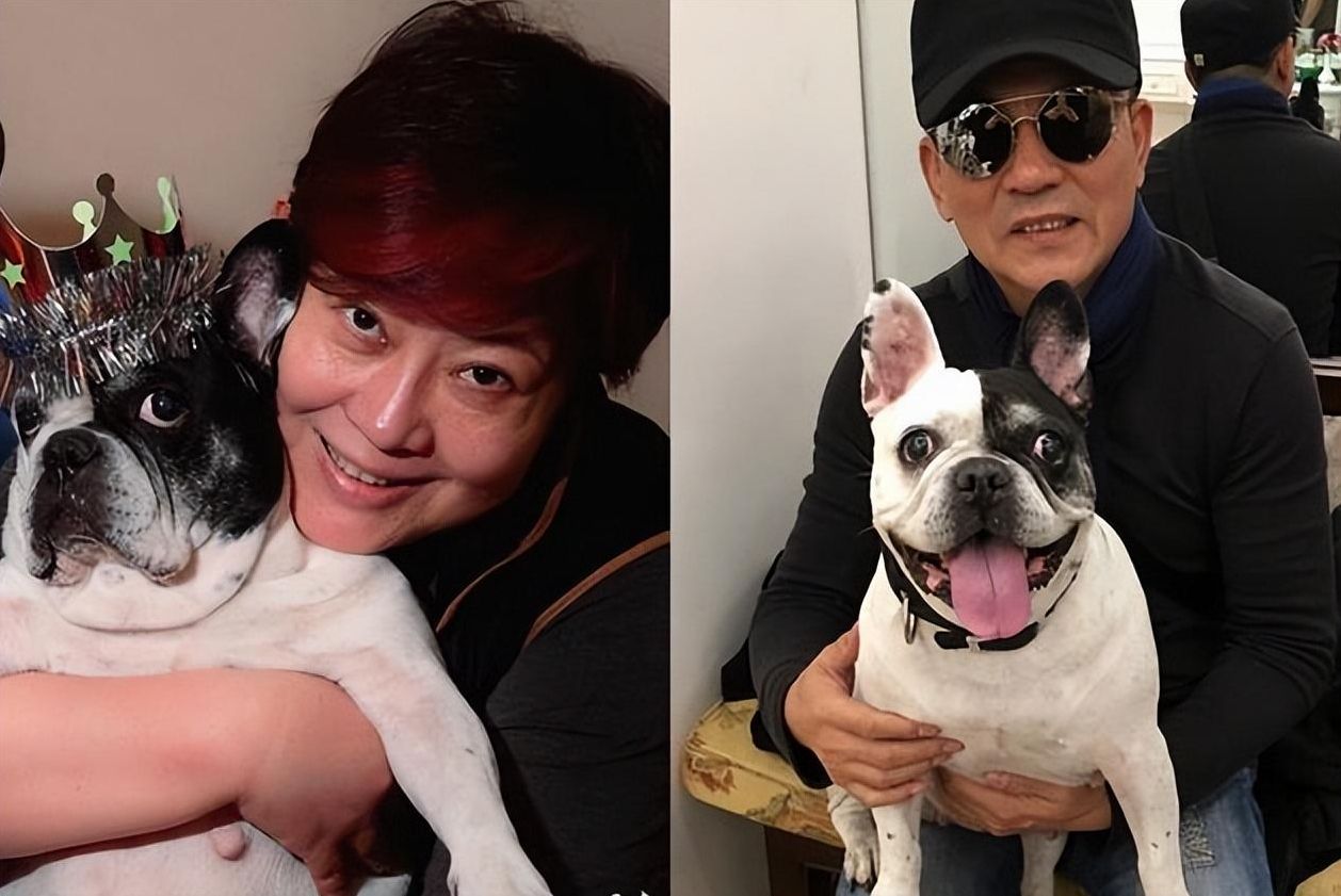 孙淳|著名演员孙淳：照顾病妻36年，66岁无儿无女，花60万养狗相伴