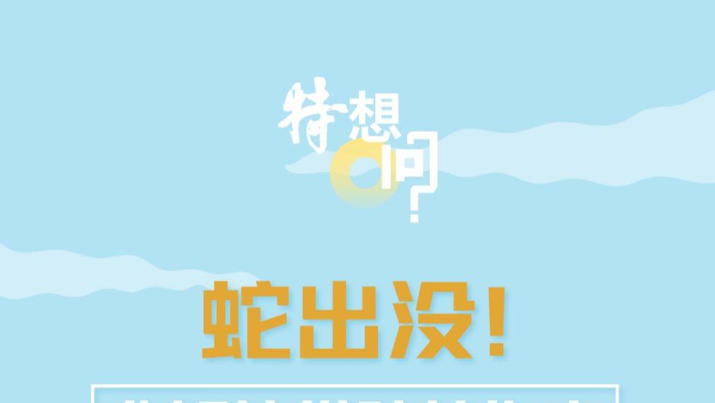 特想问 | 蛇出没！被蛇咬伤怎么办？救命指南快收好