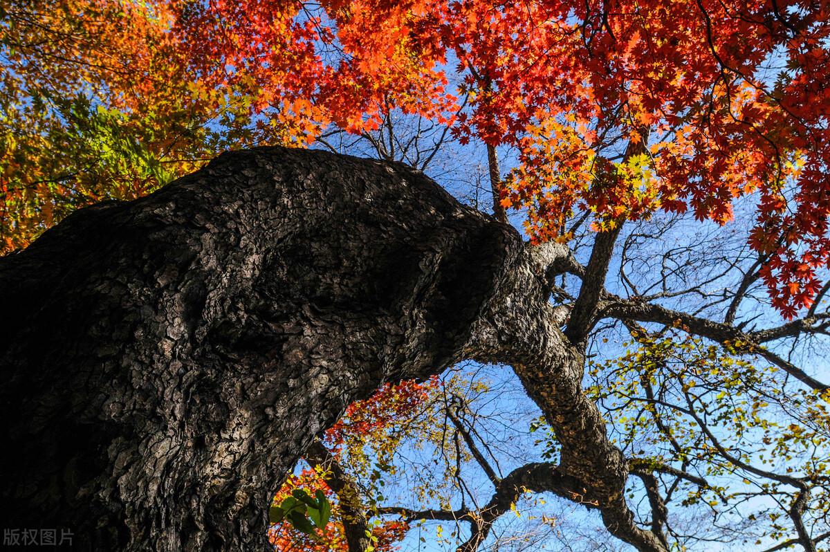 龙门峡|郭进拴|神游关门山