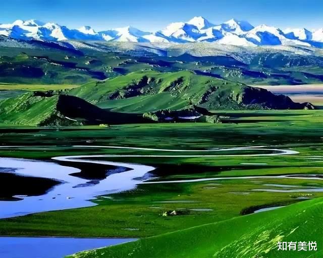 黑龙江|国内值得去的六大沼泽湿地,每个都美得与众不同,你去过几个呢?