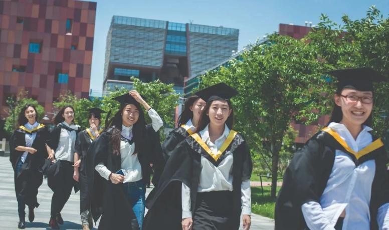 马伯庸|“海归博士”求职比亚迪遭拒，无奈发文求助，看完履历都说不冤枉