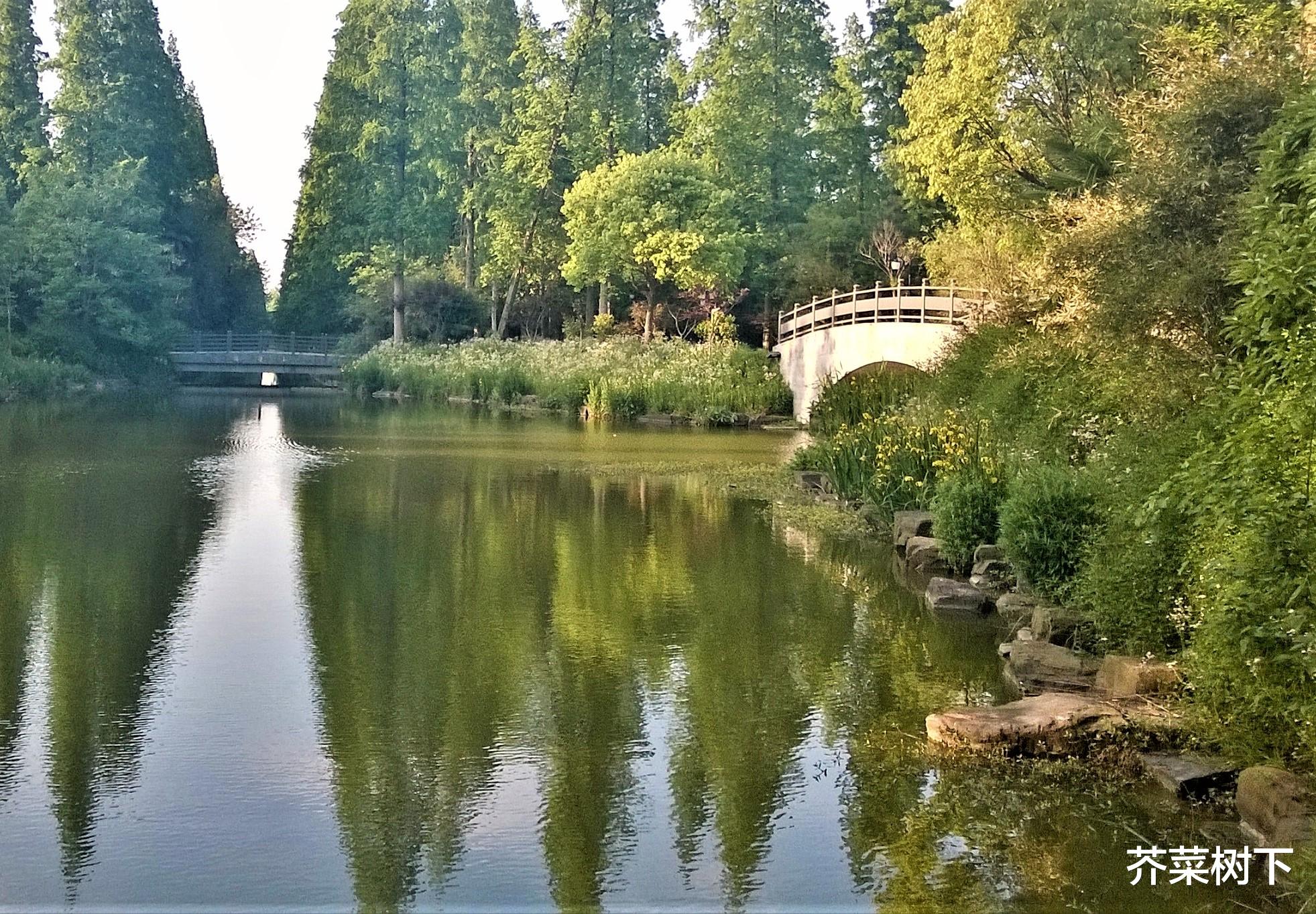 高校|人在职场，为何为谁争？
