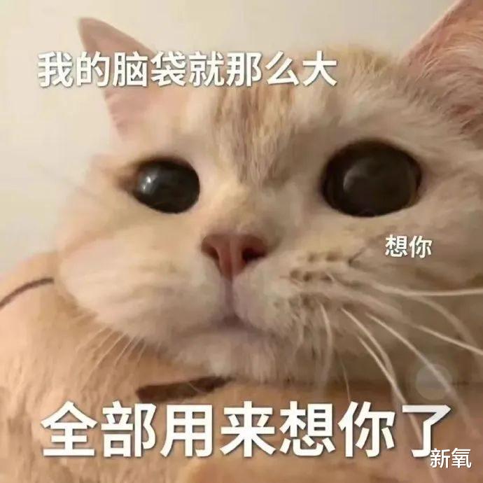 多巴胺|一吻翻红！朴敏英的《月水金火木土》甜疯了，一场吻戏直接鲨到