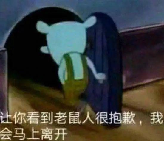 招聘|5000万门槛的飞盘局，高端相亲市场有多乱？