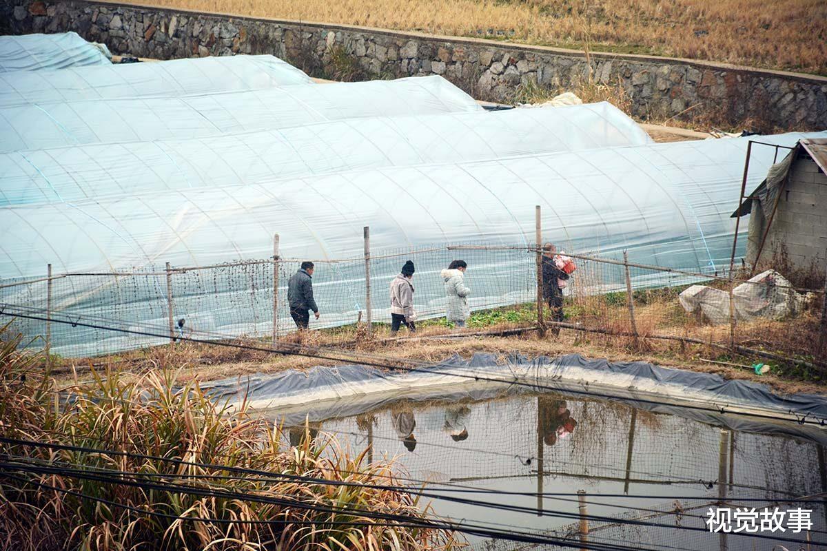 老伴和儿子常年不在家,64岁大爷独居楼房,看他怎样1年赚10万