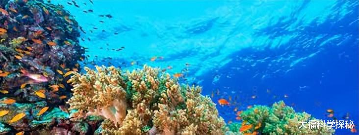 大气中存在神秘生物?鸟类发生大规模死亡,研究者认为极有可能