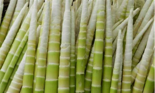 乳腺增生|它是天然“散结药”，女人经常吃，通乳化结，乳腺增生慢慢消失