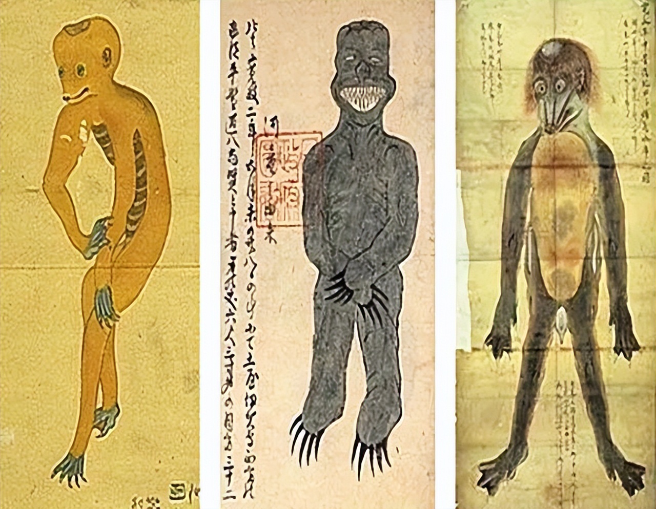 武夷山出现水猴子?水猴子是真实存在的,只不过不是传说中的“水鬼”,而是它