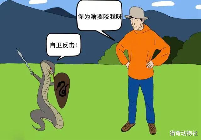 有人说“被眼镜王蛇咬伤,十几分钟内就会死亡”是真的吗?