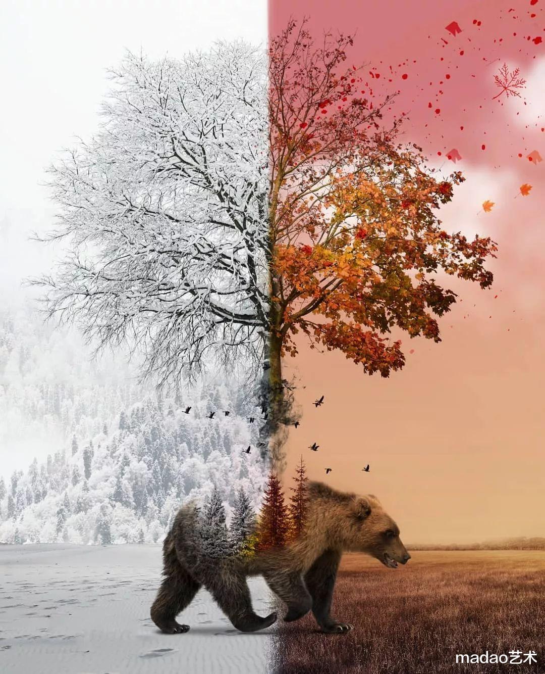 这样的PS效果，突破你的想象，脑洞大开