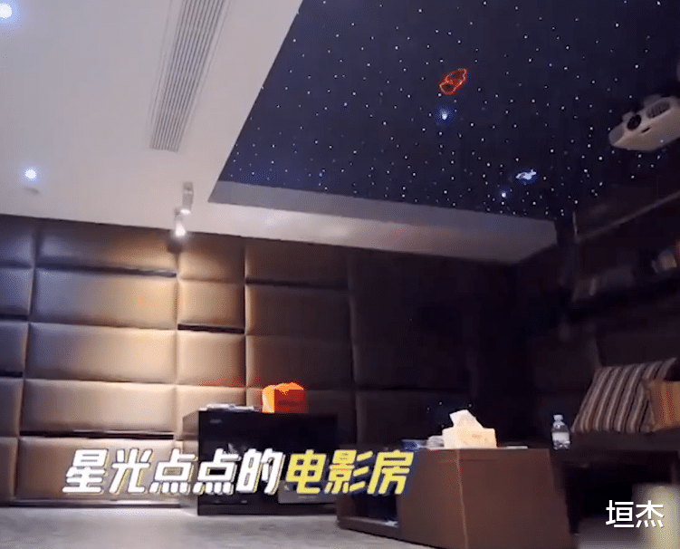 “总裁夫人”张萌:公司市值13亿,坐拥上亿别墅,吊灯能买一套房