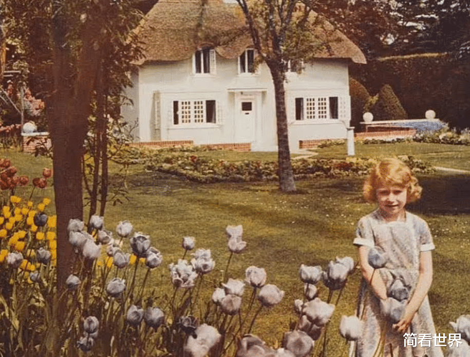 凯特王妃|家贼难防！凯特王妃故意撞衫，隔空反击梅根，却防不住两拉胯队友