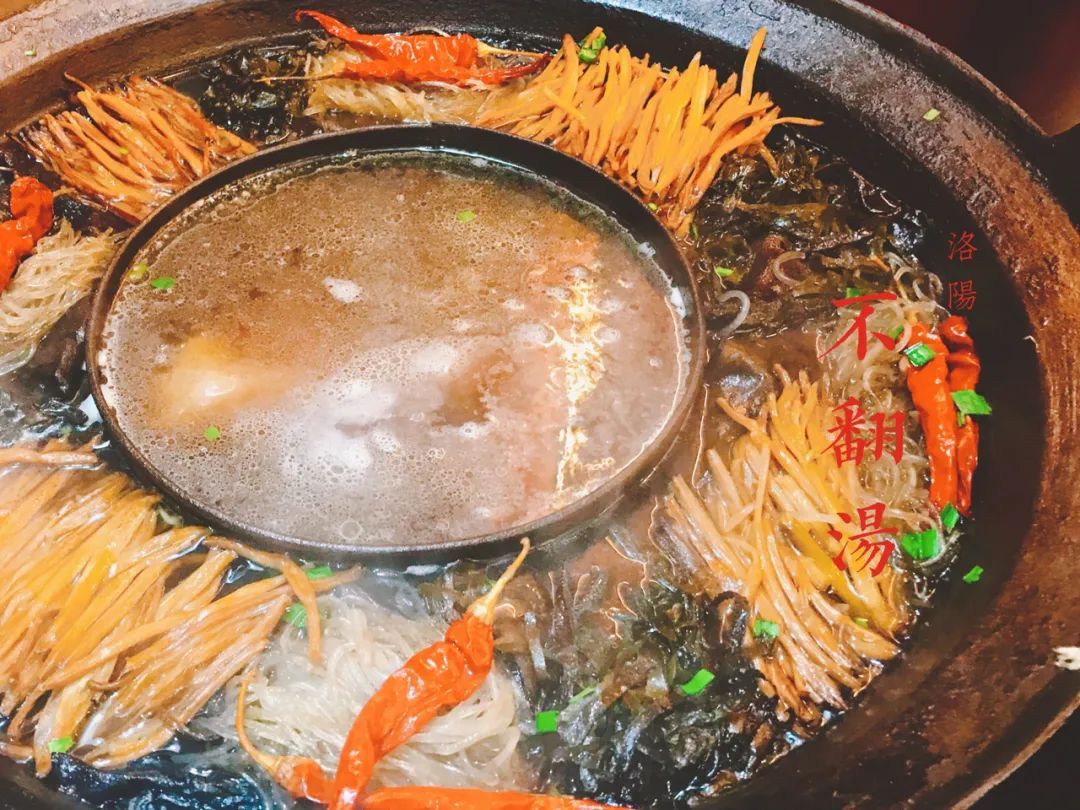 洛阳|中国唯一上榜!2023全球最佳旅行地出炉,低调的它终于被世界看到