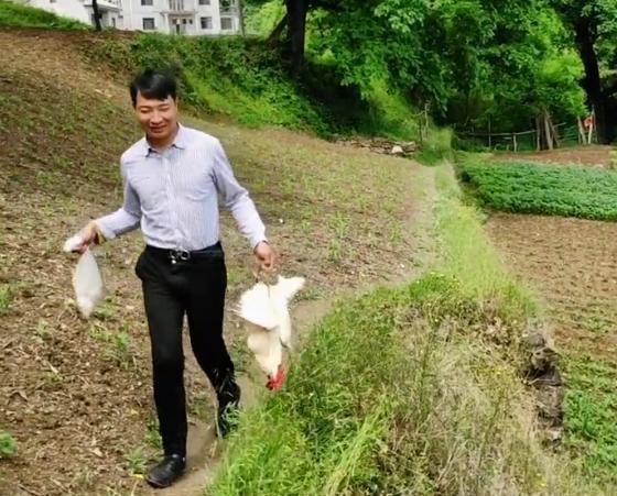 余秀华|余秀华父亲来探望女儿,杨槠策买鸡招待,被摄像调侃缺个小娃娃