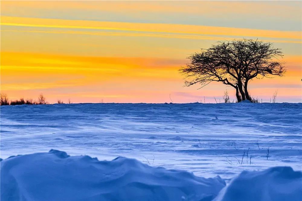 温榆河|这才是冬天最值得去的旅行地,错过等一年