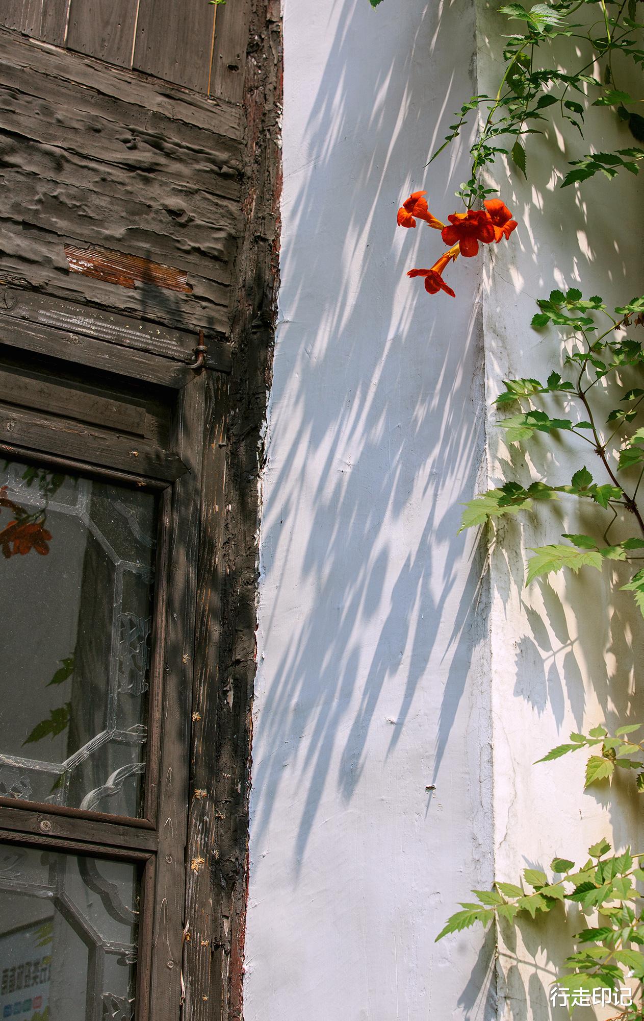 |黎里闲游看惊鸿,故物堆里品铮言