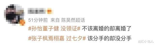 孙怡|孙怡董子健官宣离婚,倪妮、李沁风评被害