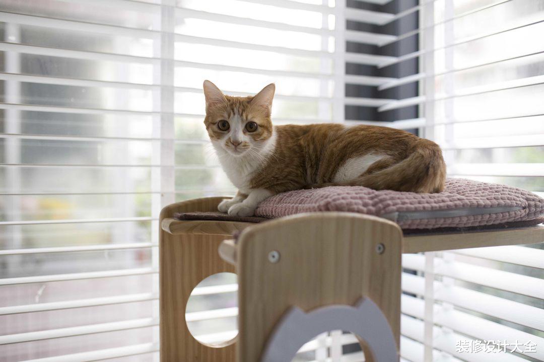 90后夫妻64㎡新房，极简装修，却布置得精致高级，太有品位了！