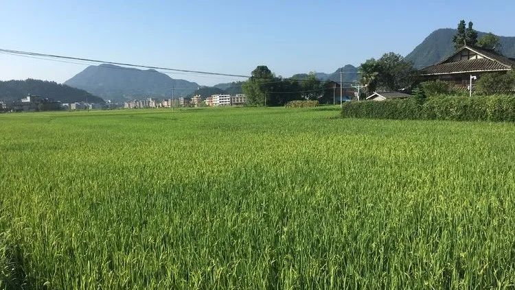 贵阳|邵阳旅游推荐:魏源故居