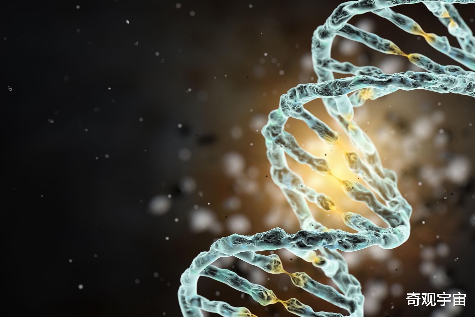 专家认为挨饿可以延年益寿?3万多个科学家表示认同,依据是什么?