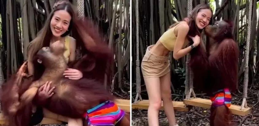 泰国一红毛猩猩对美女网红又吻又抱,秀出天际,网友:不如丢那猩