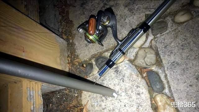 三亚|海南一男子河里夜钓，罕见收获“米级”花鳗鲡，网友：保护动物