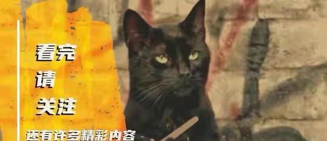 绿色水螅,现实中的九头蛇,邀你来一杯得永生的“青春不老泉”