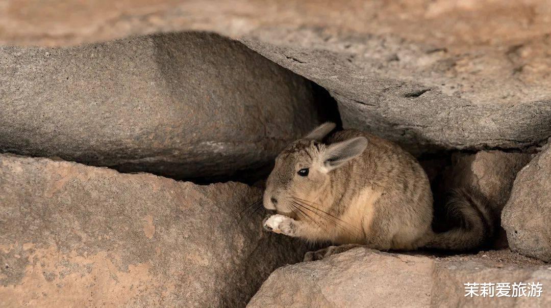 欧洲旅游|玻利维亚,走进七彩秘境