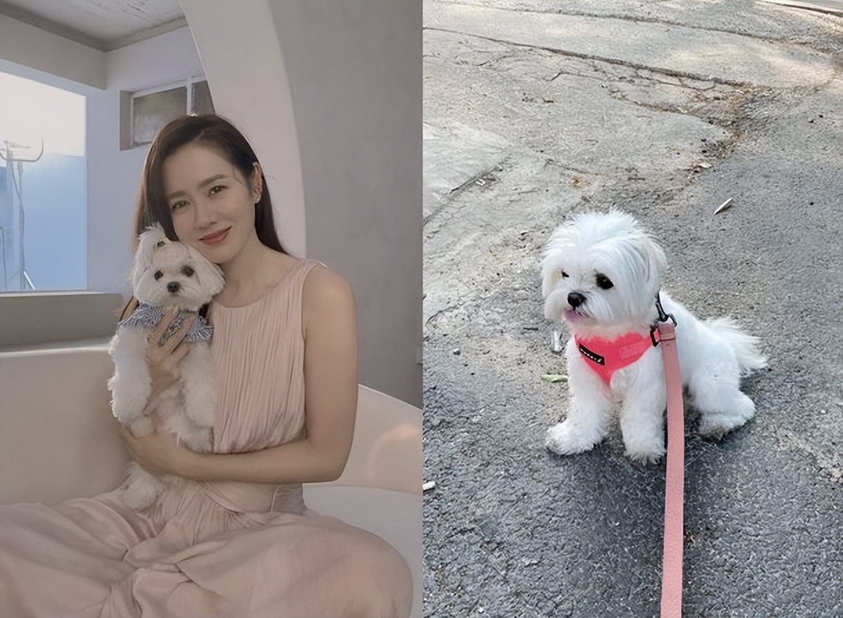 孙艺珍|澄清“怀孕传闻”后,孙艺珍晒近况,遛狗散步,玄彬是否在一起?