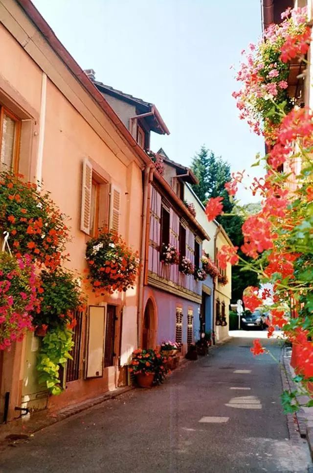 旅行社|世界上最美的七个鲜花小镇