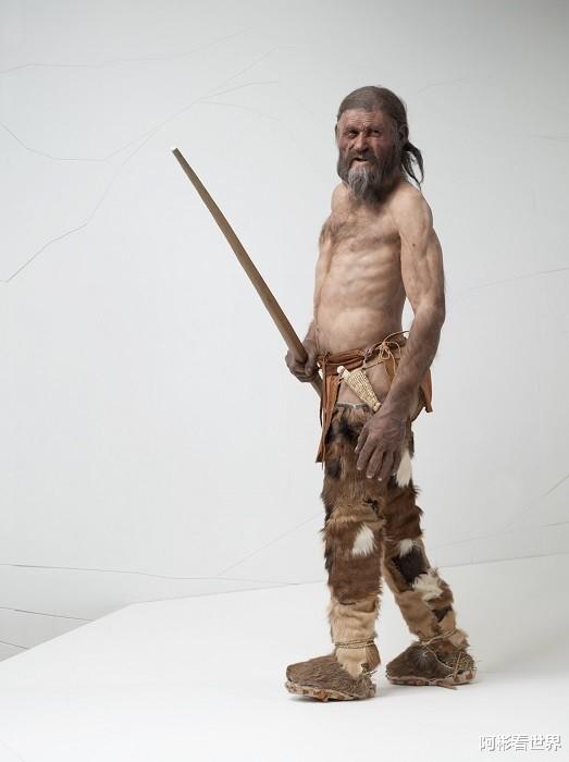 睡在阿尔卑斯山冰川中的木乃伊,一个生活在 5300 年前人的秘密