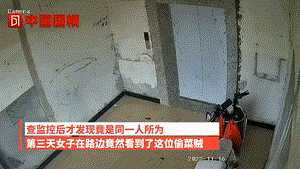福建一女子接连两天菜被偷,第三天偶遇偷菜大姐,闹进警局