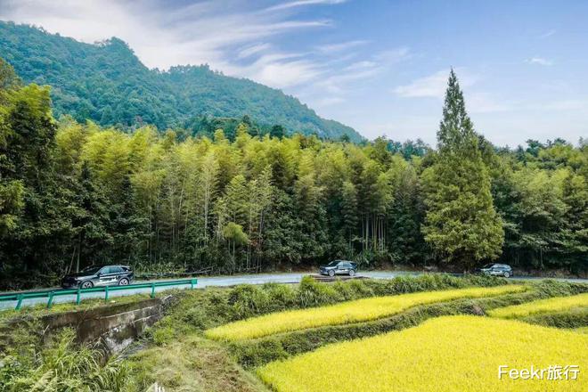 高峰|不是黄山！不是宏村！这个皖南小众秘境太惊喜，仿佛闯入绿野仙踪
