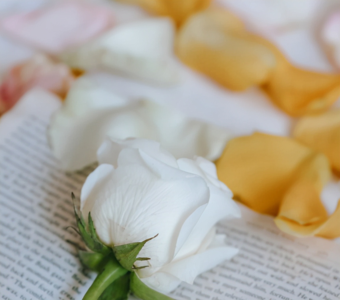 沙雕|打工人不想上班的沙雕文案