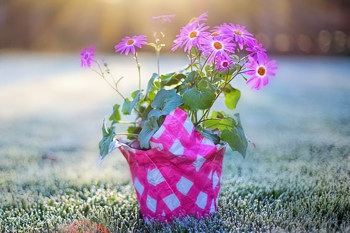 求职|亲戚间血缘再近，也别帮这两种忙，就算得罪人也要拒绝