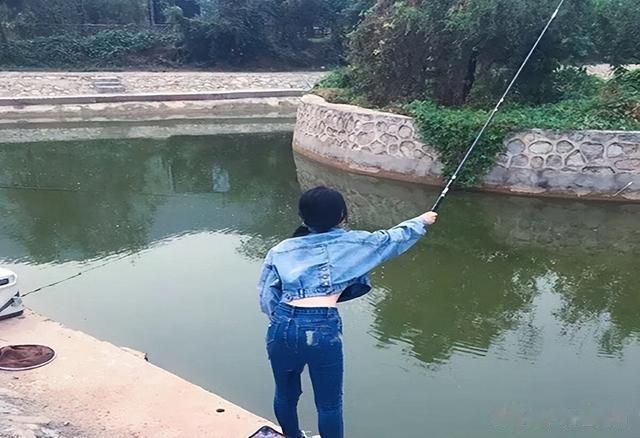 饵料|钓鱼经常空军,除了鱼少!更多因素在钓友自个