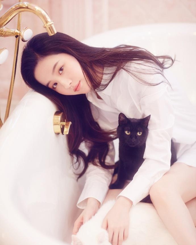 金莎|2022.11.15娱乐爆料:赵丽颖、肖战、刘诗诗、刘亦菲、陈瑶、沈腾