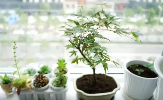 只有一个阳台,一定不要乱装!这么做等于多了一间房,实用!