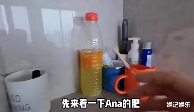 苗苗|苗苗分享孕期饮食，每餐都有汤超丰盛，郑恺回不了家很关心妻女