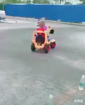 |“钓鱼被咬了,不过钓到了一条招财龙鱼,不亏...