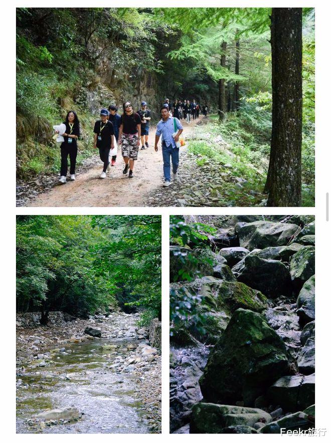 高峰|不是黄山！不是宏村！这个皖南小众秘境太惊喜，仿佛闯入绿野仙踪