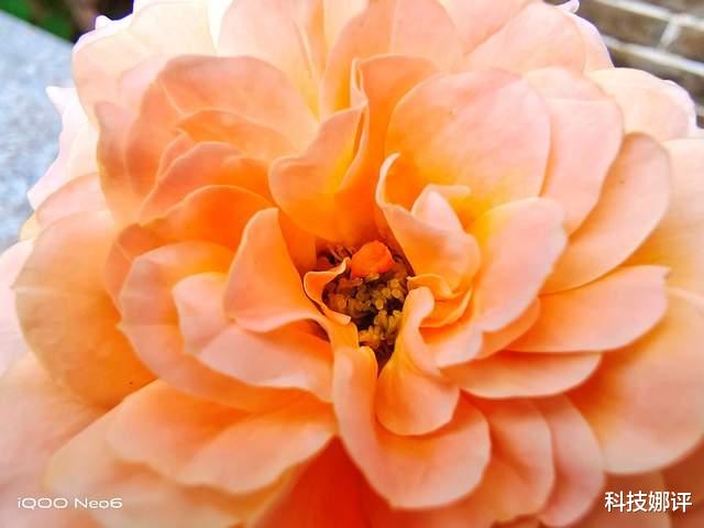 小米科技|“性能怪兽”再发力！iQOO Neo 6上手体验