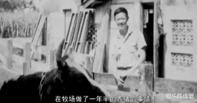 金士杰|“老戏骨”金士杰：恃穷为傲不惧世俗，娶小娇妻后60岁喜得龙凤胎